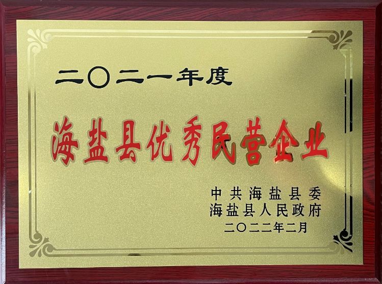 2021年度海盐县优秀民营企业.JPG