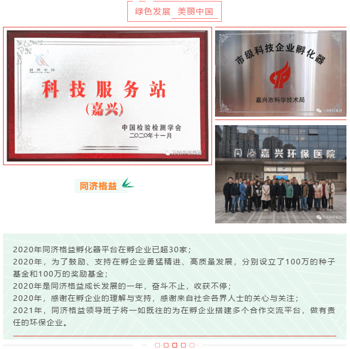 图片19