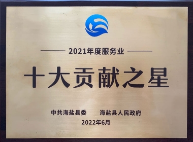 2021年度服务业十大贡献之星