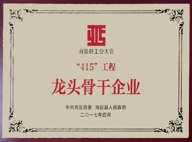 2017年海盐县415工程龙头骨干企业