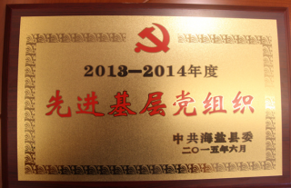 热烈祝贺我公司党支部荣获2013-2014年度先进基层党组织称号