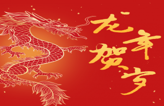志道典“核”丨2024龙行龘龘，前程朤朤，生活??，百业駸駸，志气玱玱