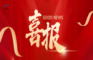 “神”祗忠勤丨喜报！集团公司再获“服务业领军企业”称号
